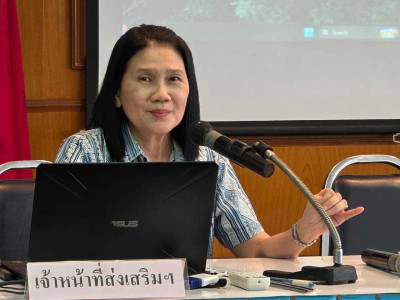 ทีมปฏิบัติการและผู้สอบบัญชี ... พารามิเตอร์รูปภาพ 1